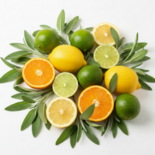 Load image into Gallery viewer, Wax Melt Cubes - 6 pack