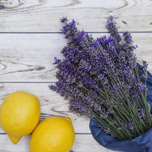 Load image into Gallery viewer, Lemon Lavender